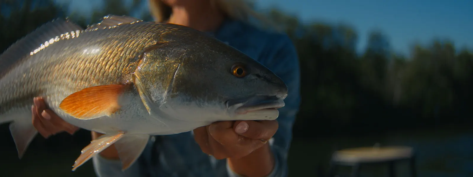 fishy fish